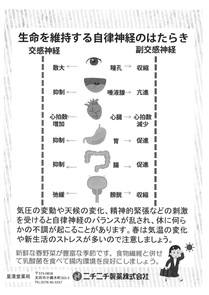 今月の会報