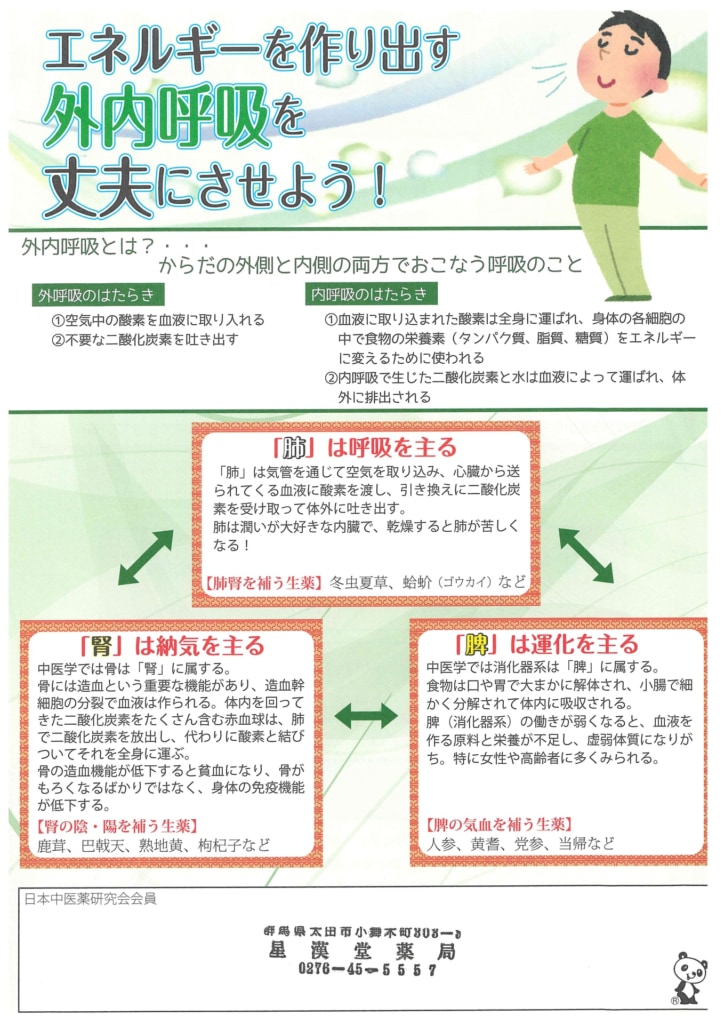 今月の会報