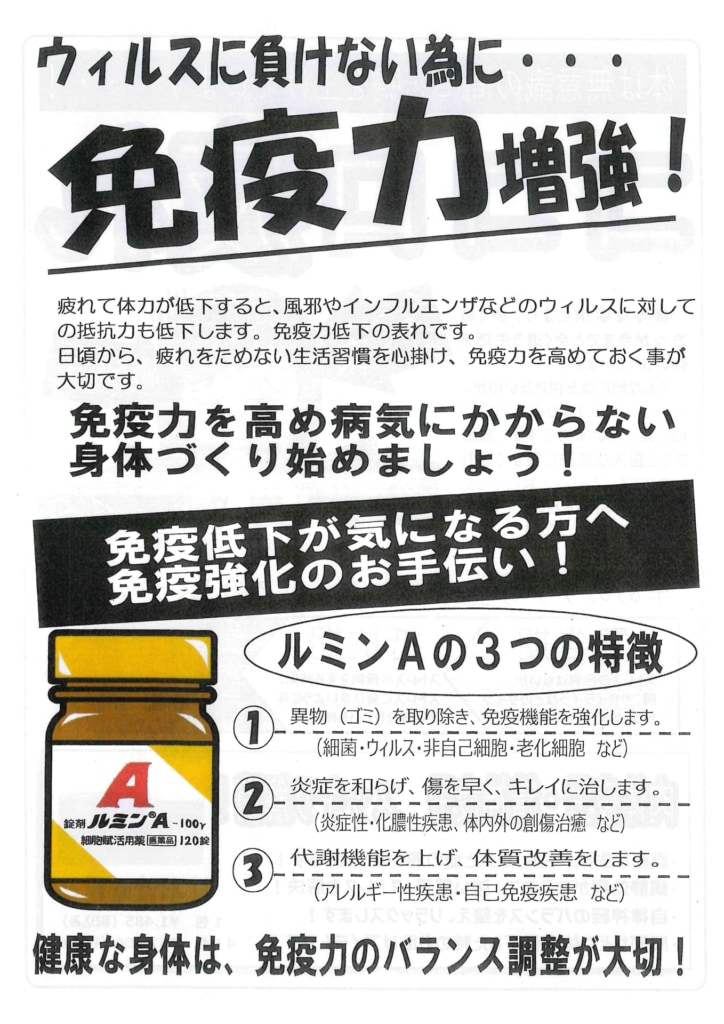 今月の会報