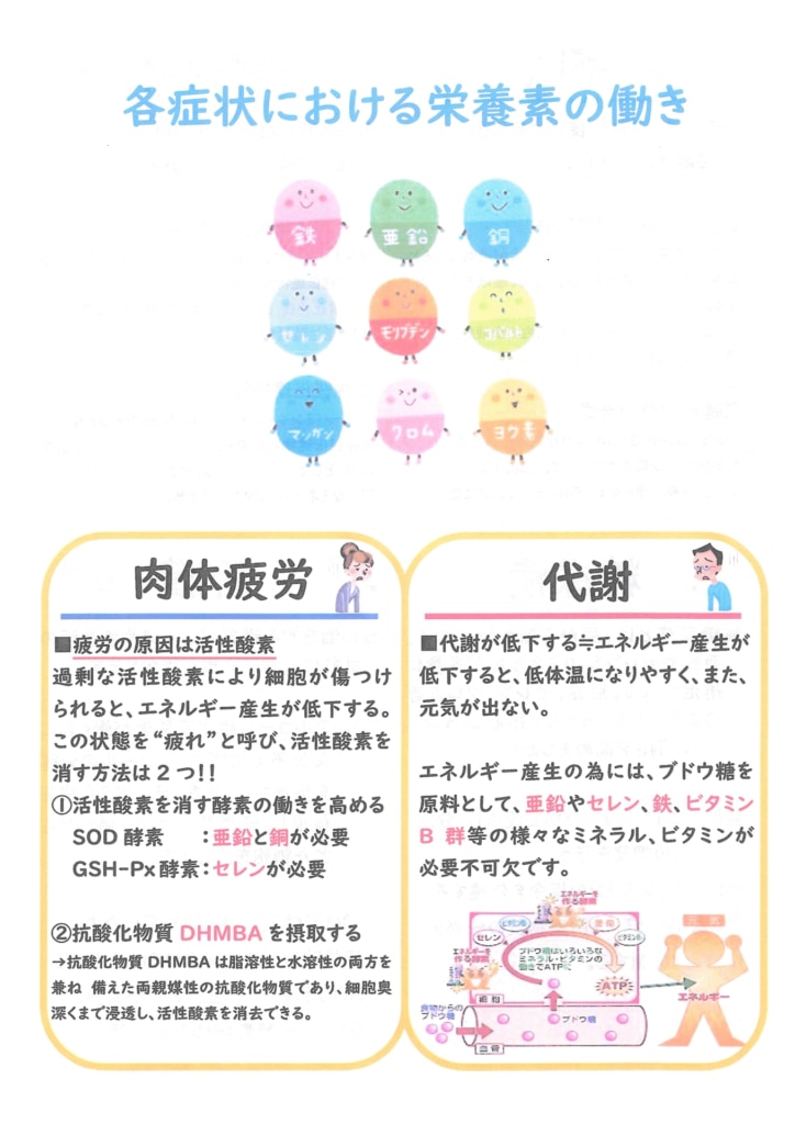 今月の会報
