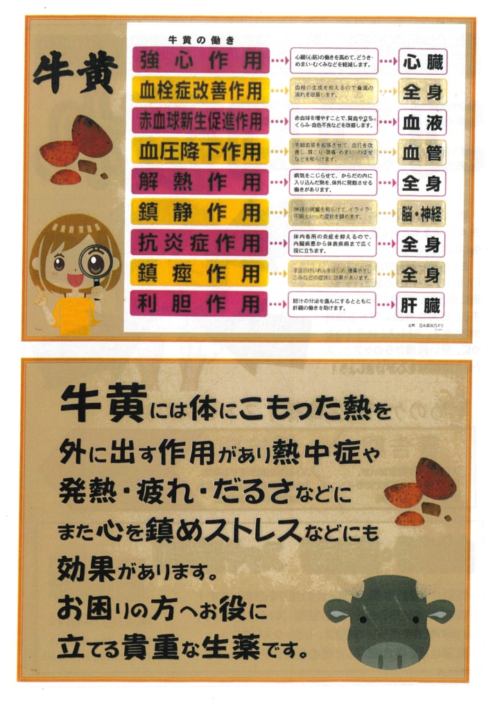 今月の会報