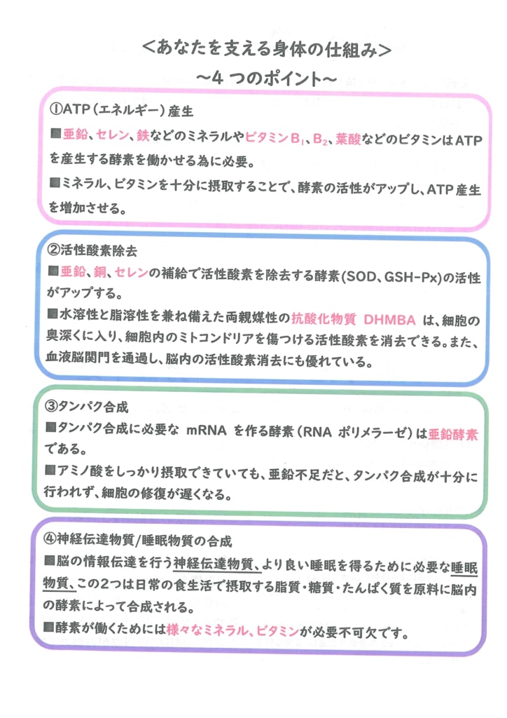 今月の会報