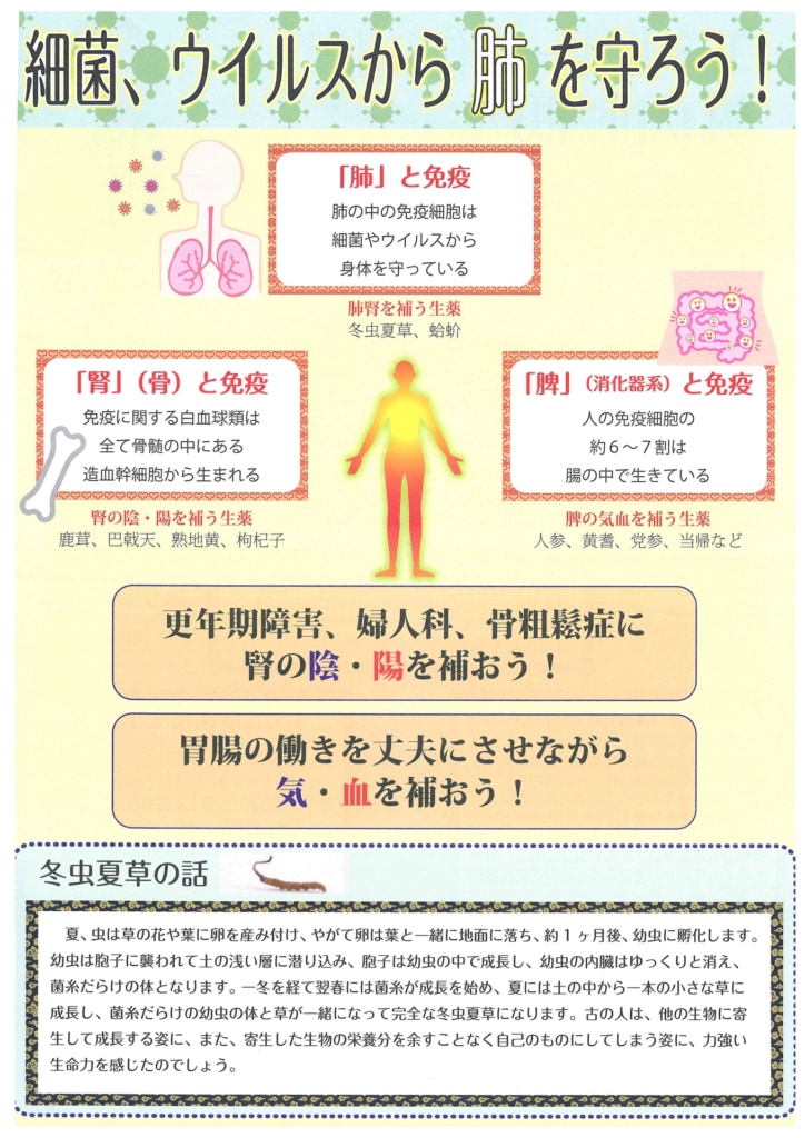 今月の会報