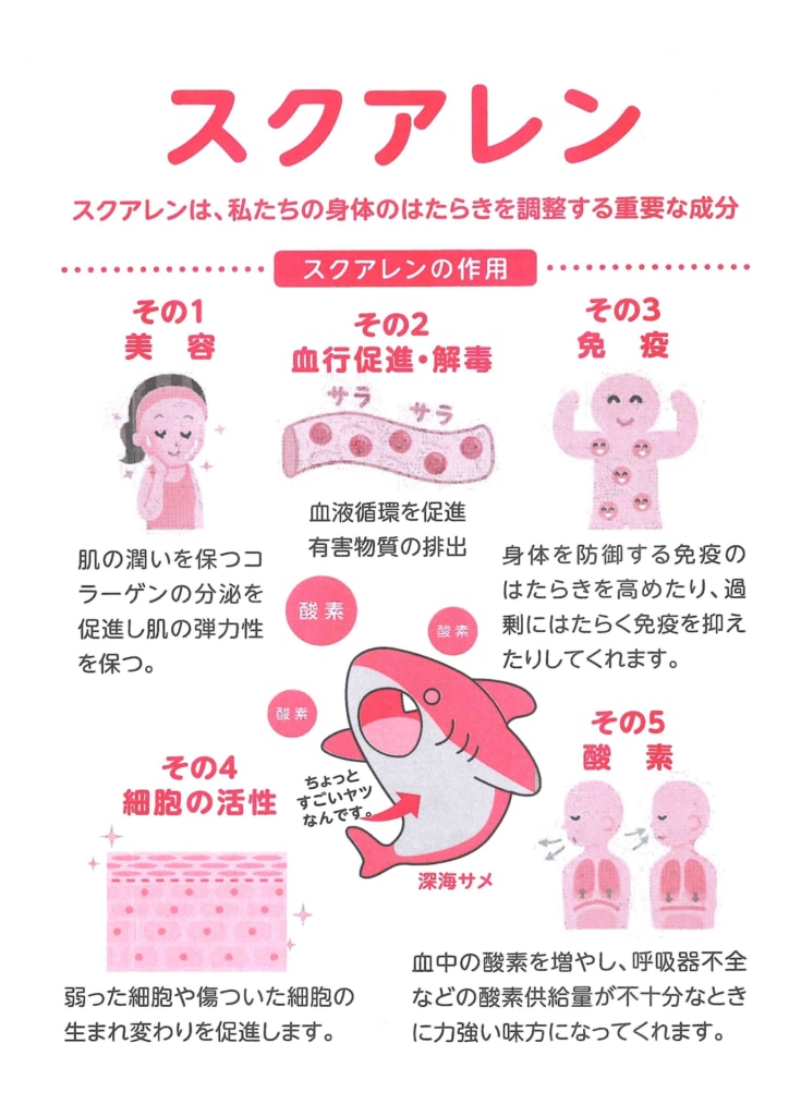 今月の会報（旧）