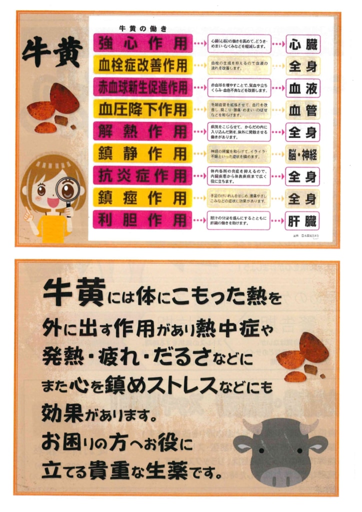 今月の会報（旧）