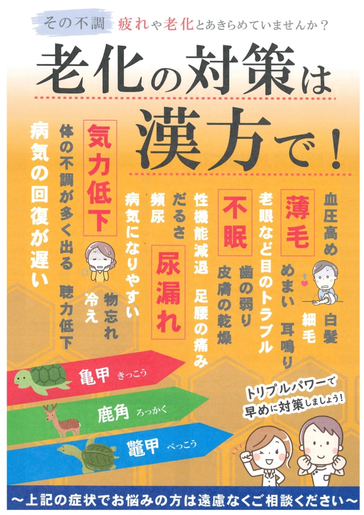 今月の会報