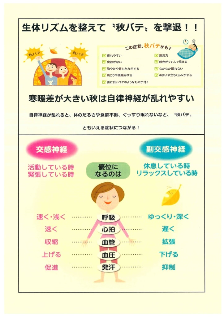 今月の会報
