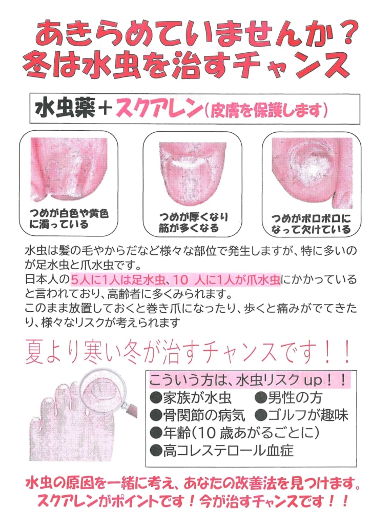 今月の会報（旧）