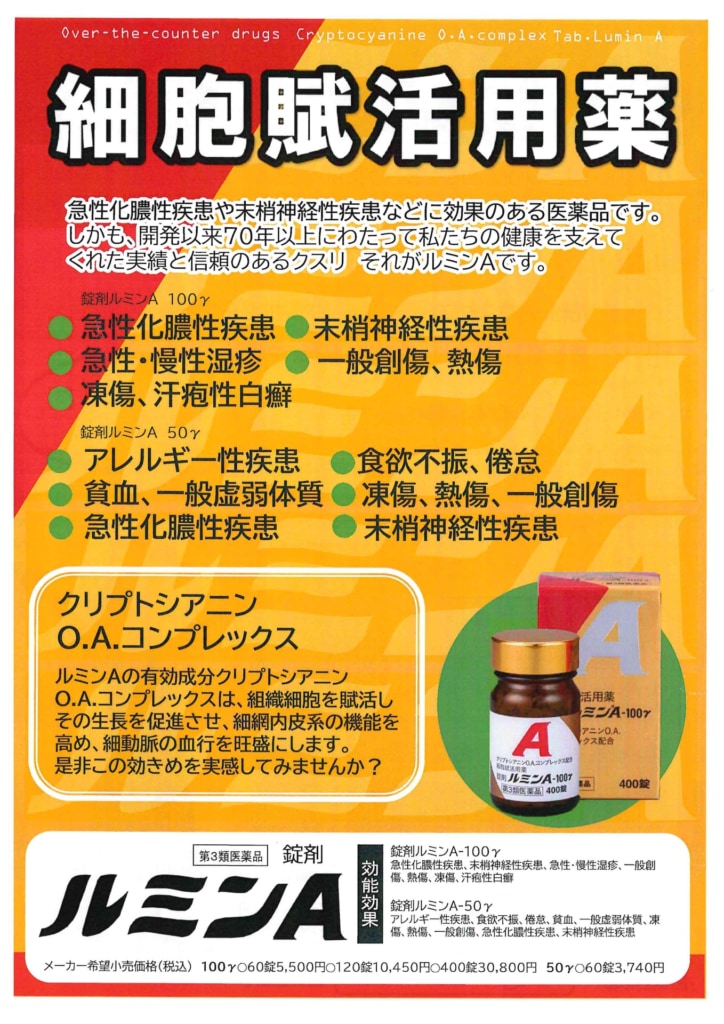 今月の会報