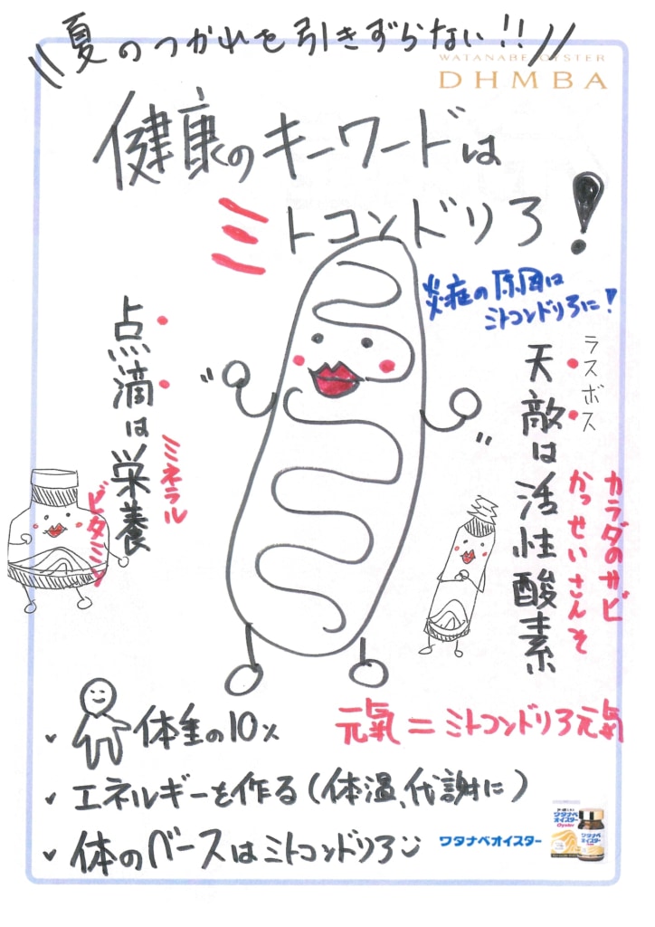 今月の会報